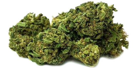 CBD Blüten