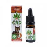 CBD für Tiere