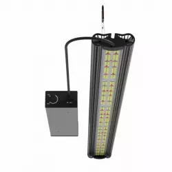 LED Lampen