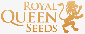 Royal Queen Seeds