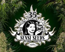 Sensi Seeds