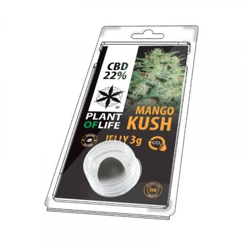 22% CBD Hasch Mango Kush 3 Gramm