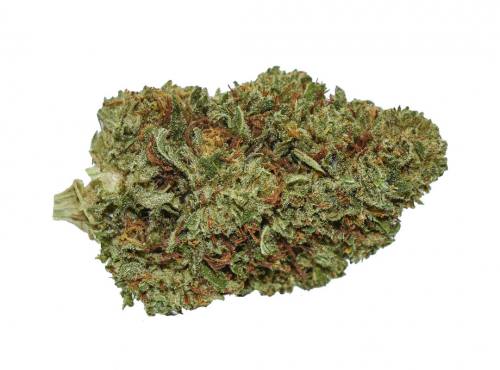 <25% CBD Blüte New York Diesel