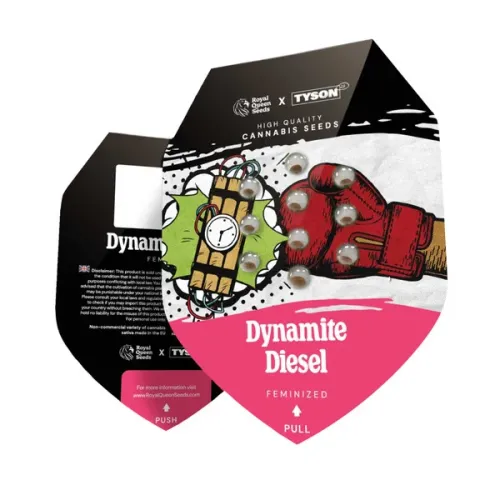 Dynamite Diesel Tyson Samen 3 Stück