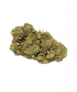 22% Cherry Haze CBD Blüte