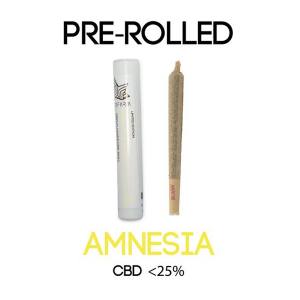 25% CBD Joint AMNESIA