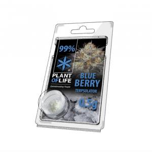 CBD Kristalle 99% BLUEBERRY 500mg