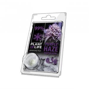 CBD Kristalle 99% Purple Haze  5...