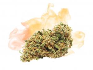 15% HHC-P Purple Queen